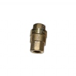 Check Valve