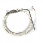 Temperature Sensor